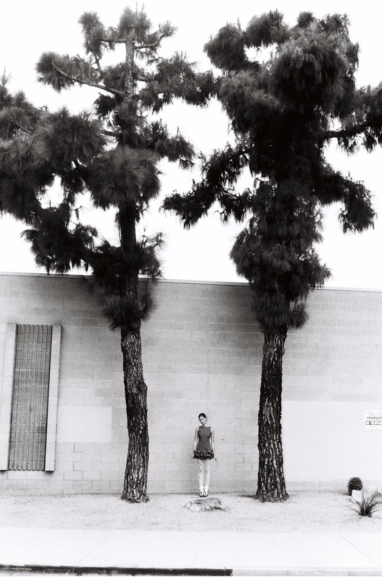 Editorial photograph by Cole J. Hanauer, 11 of 40
